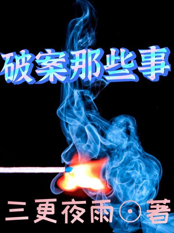 破案的叫什么小说