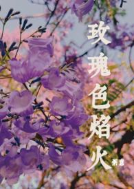 玫瑰色烟花小说